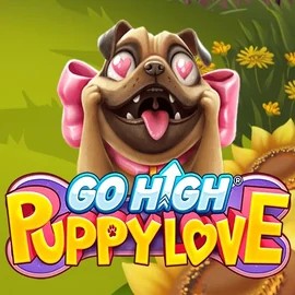 game logo by RubyPlay on spinmachos.it